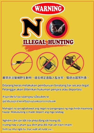 嚴禁非法捕獵野生動物